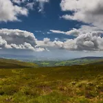 Wellfield * Tipperary