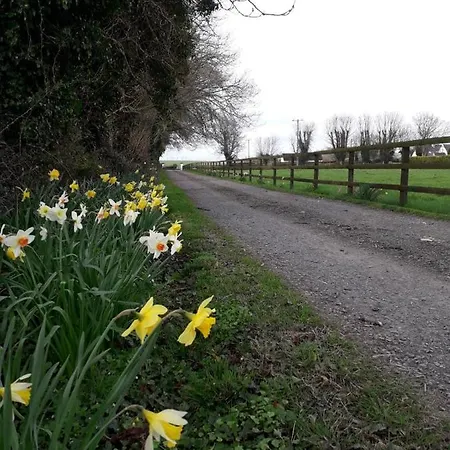 Wellfield Holiday home