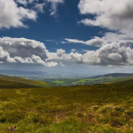 Wellfield * Tipperary