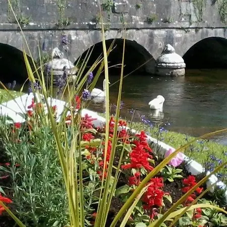 Wellfield * Типперэри