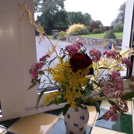 Wellfield Дом отдыха Типперэри